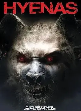 《鬣狗人》影评：揭秘索马里战火下的残酷人性，一部震撼心灵的战争史诗