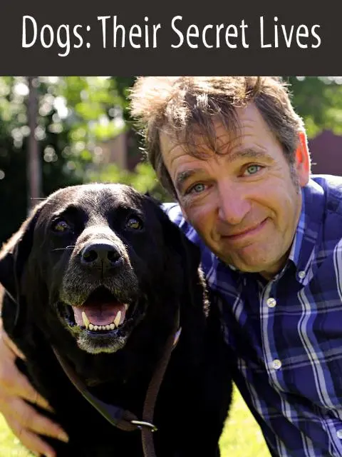 《狗狗的秘密生活 第一季》：毛孩子们的另类人生，一场关于爱与忠诚的治愈之旅！