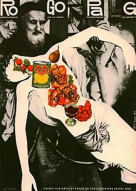 罗戈帕格：一个关于冒险与友情的全新传奇，这部影片如何用幽默和惊险元素打动人心？